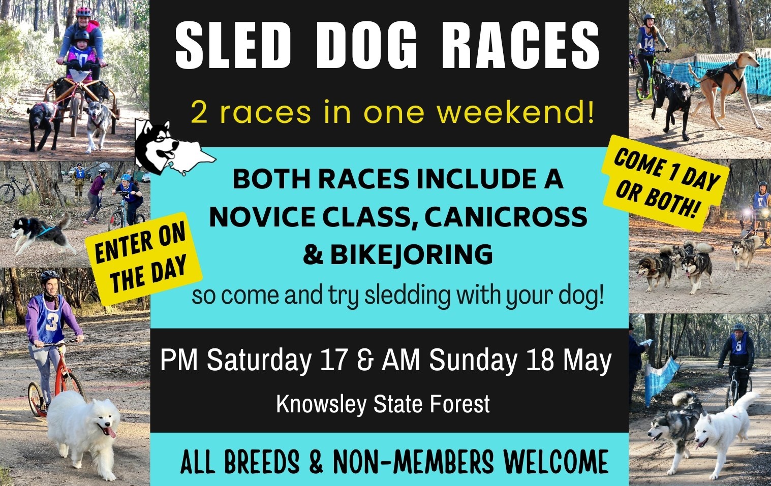 Sledding events