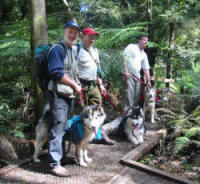 Day walk at Toolangi