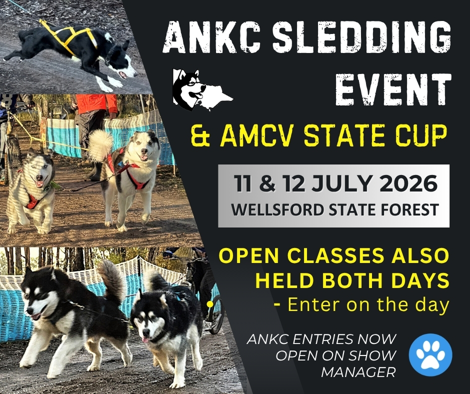 July Sled Dog races