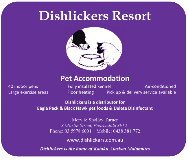 Dishlickers logo