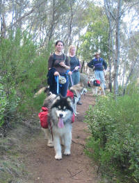 Hiking at You Yangs