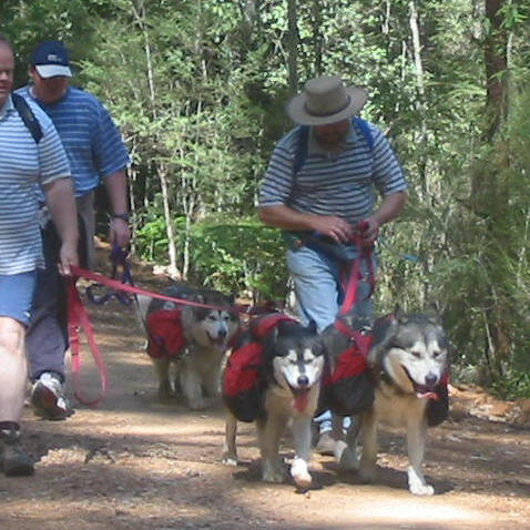 Malamutes backpacking