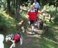 Picnic Walk at Mt Macedon