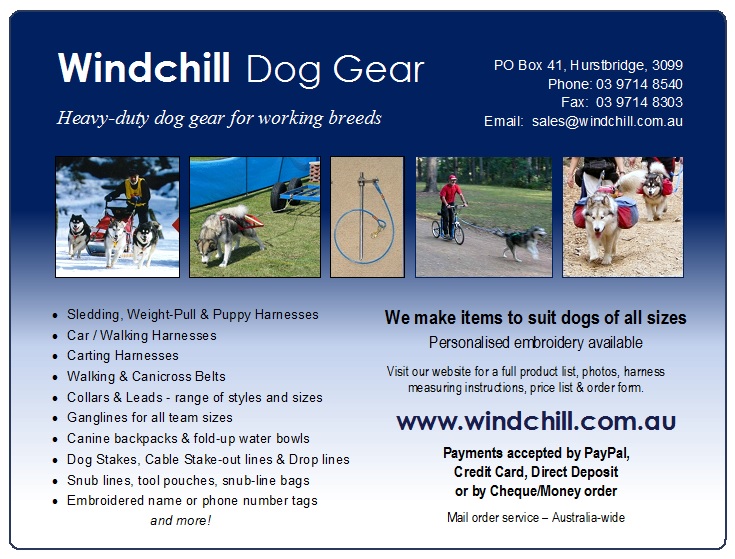 Windchill Dog Gear